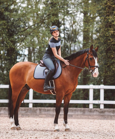 ELLA-Equestrian-Lifestyle-Luxury-Art – Equestrian Lifestyle Luxury Art